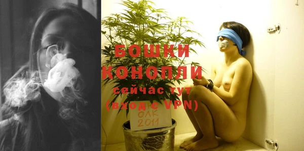 гидропоника Алагир