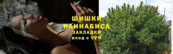 тгк Надым
