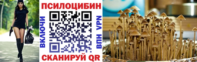 Галлюциногенные грибы Psilocybine cubensis  продажа наркотиков  Сычёвка 